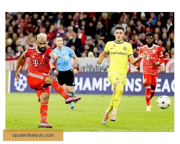 格纳布里射门方式解析：多样化技巧助力锋线表现持续提升