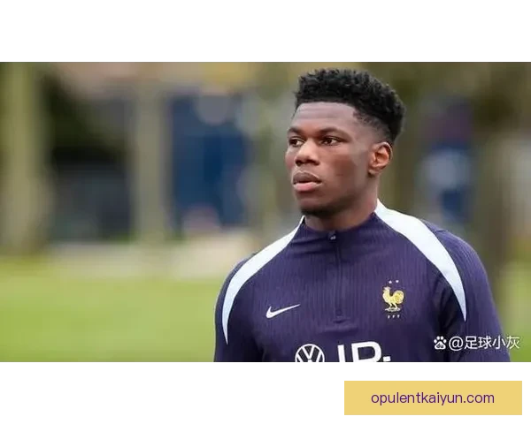 楚阿梅尼防守覆盖面分析及其对比赛的影响